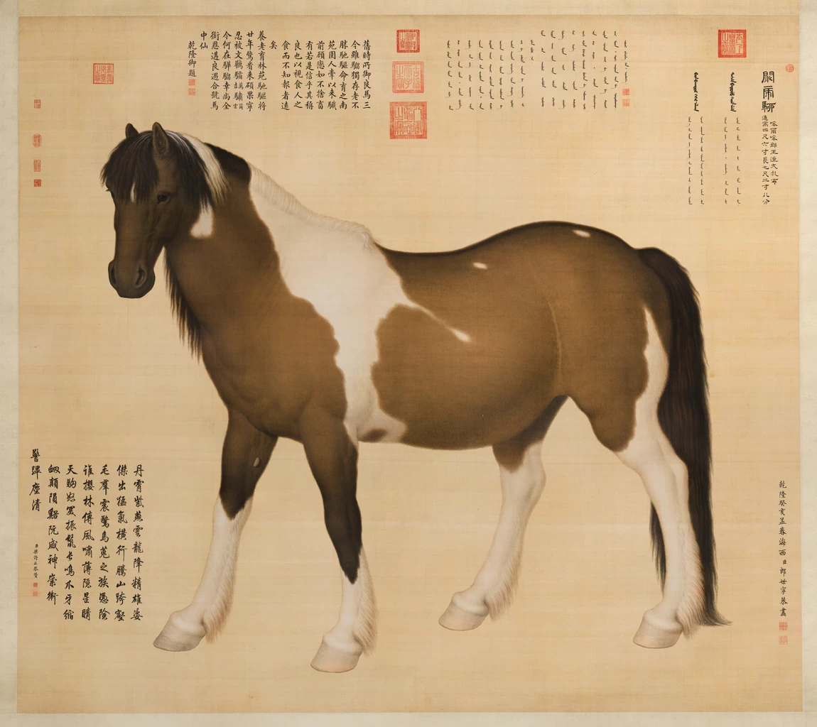 Serie dei 10 cavalli. Cavallo Kanhuliu - Museo del Palazzo, Pechino
